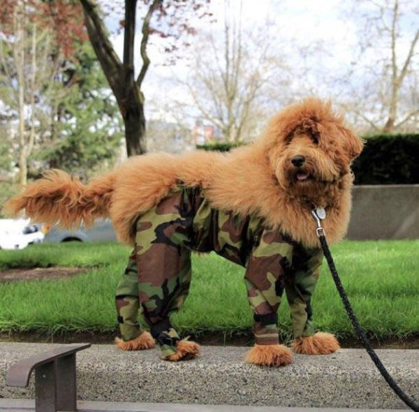 morning picdump 50 pics 4.html - 50 HD Photos | Premium Gallery 2018