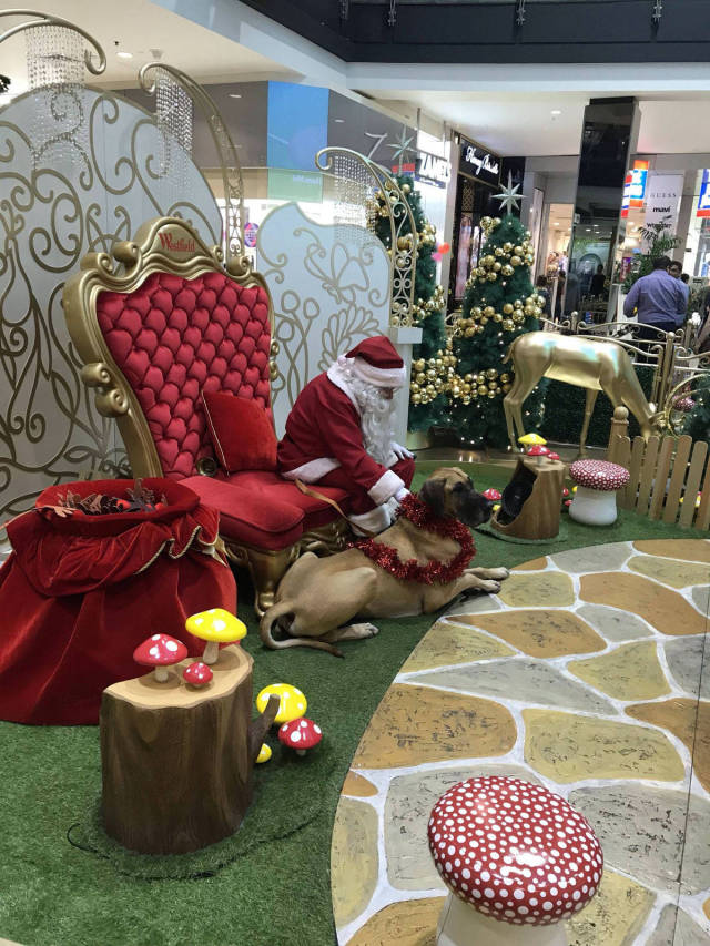 morning picdump 50 pics 4.html - 50 HD Photos | Premium Gallery 2018