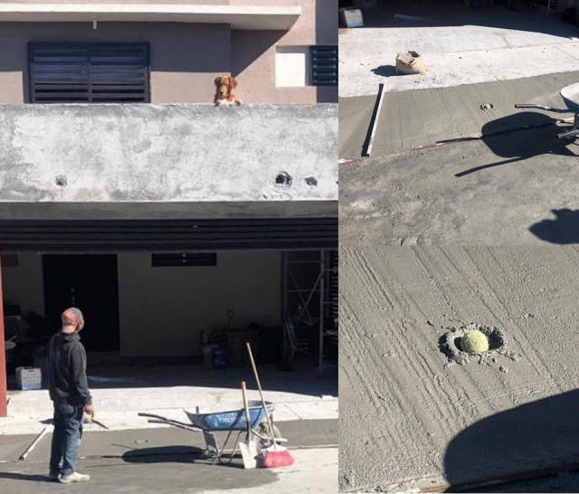 page,3,top 250 morning pics of the year 2018.html - 1 HD Photos | Premium Gallery 2018