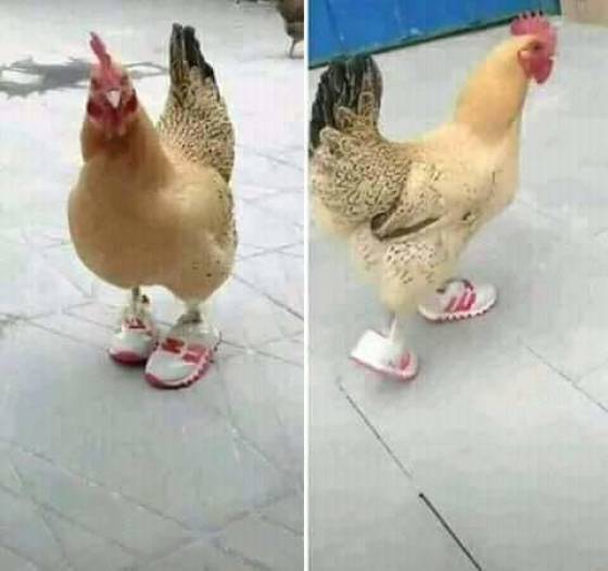 morning picdump 52 pics 2.html - 52 HD Photos | Premium Gallery 2018