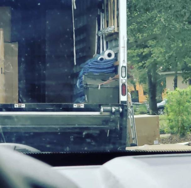 morning picdump 52 pics 2.html - 52 HD Photos | Premium Gallery 2018