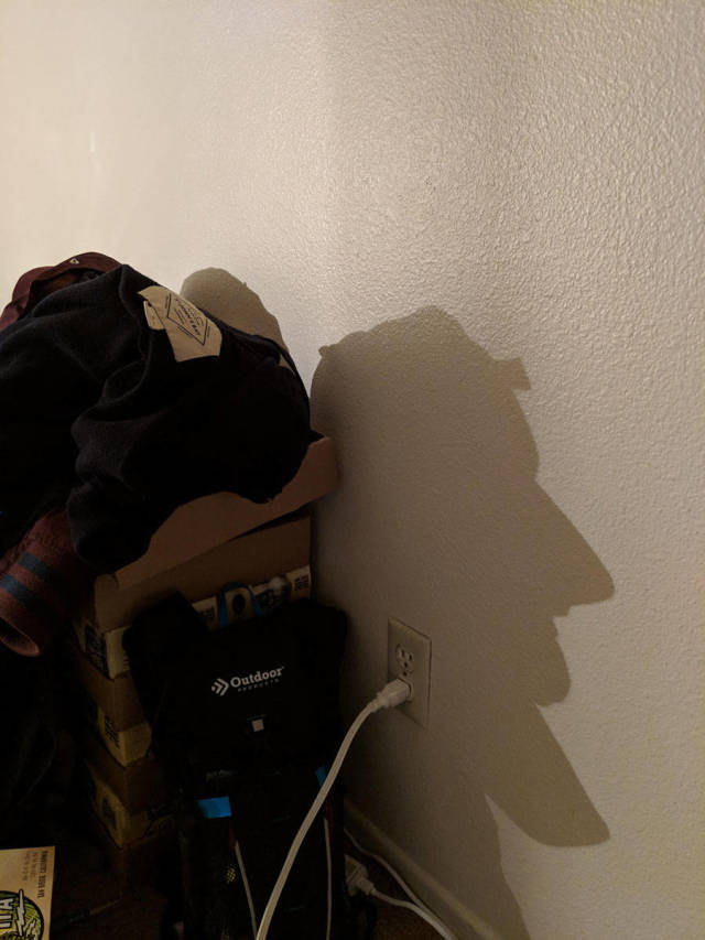 morning picdump 52 pics 2.html - 52 HD Photos | Premium Gallery 2018