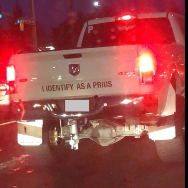 Daily Picdump [WEEKEND EDITION]