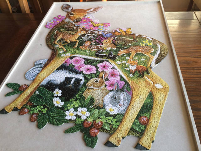 daily picdump weekend edition 50 pics 21.html - 50 HD Photos | Premium Gallery 2018