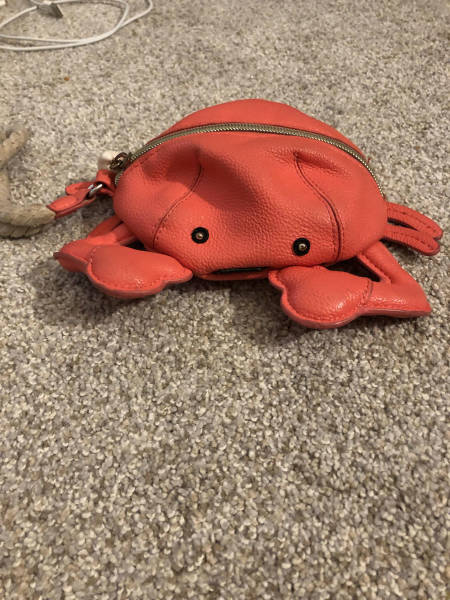 daily picdump weekend edition 50 pics 21.html - 50 HD Photos | Premium Gallery 2018