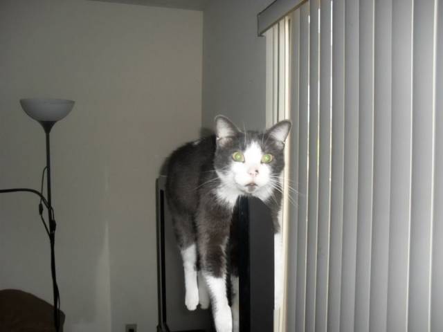 daily picdump 102 pics 35.html - 102 HD Photos | Premium Gallery 2018