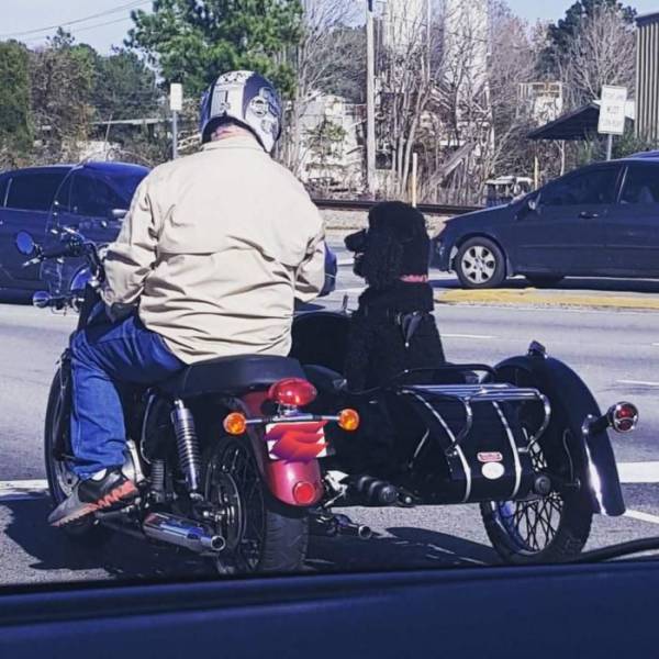 daily picdump 102 pics 35.html - 102 HD Photos | Premium Gallery 2018