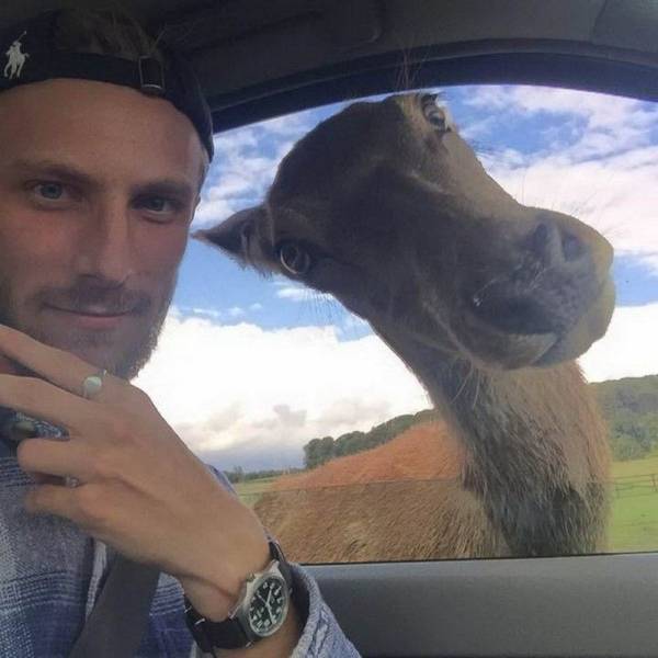 daily picdump 102 pics 35.html - 102 HD Photos | Premium Gallery 2018