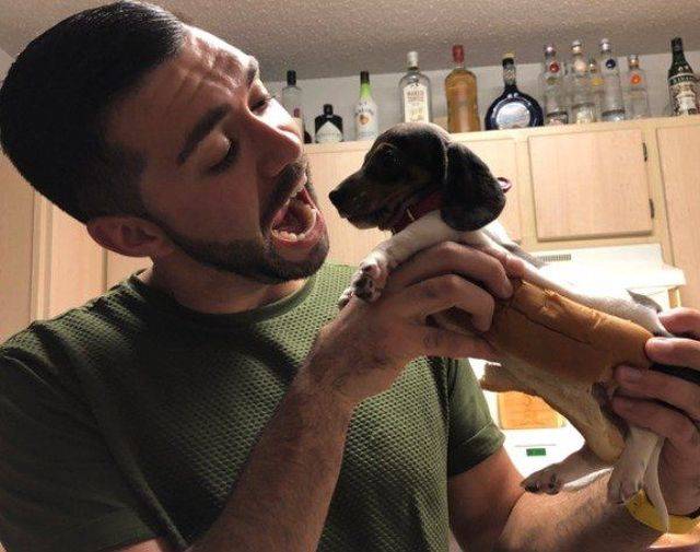 daily picdump 102 pics 35.html - 102 HD Photos | Premium Gallery 2018