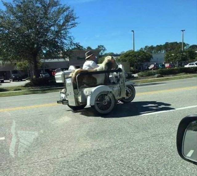 daily picdump 102 pics 35.html - 102 HD Photos | Premium Gallery 2018