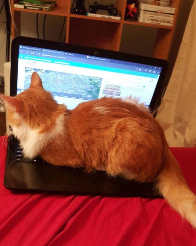 daily picdump 102 pics 35.html - 102 HD Photos | Premium Gallery 2018