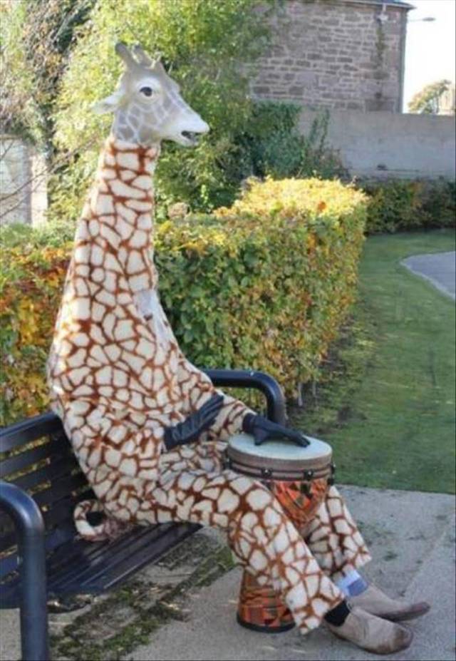 daily picdump 102 pics 35.html - 102 HD Photos | Premium Gallery 2018