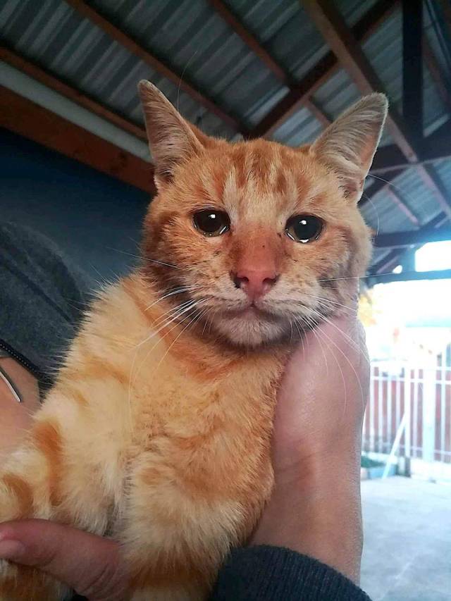 daily picdump 102 pics 35.html - 102 HD Photos | Premium Gallery 2018