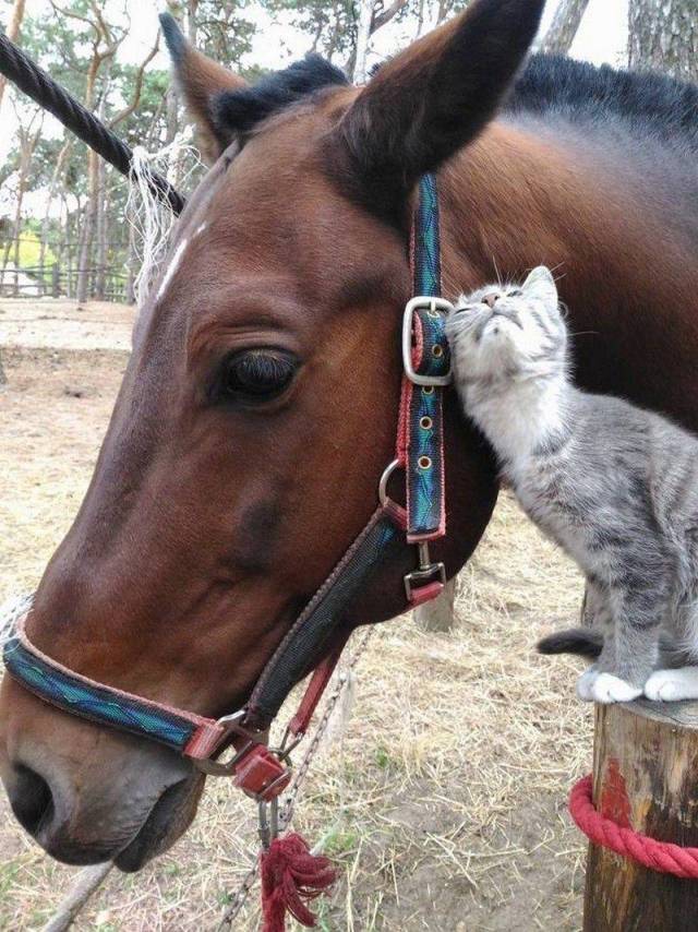 daily picdump 102 pics 35.html - 102 HD Photos | Premium Gallery 2018