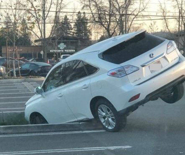 morning picdump 51 pics 34.html - 51 HD Photos | Premium Gallery 2018