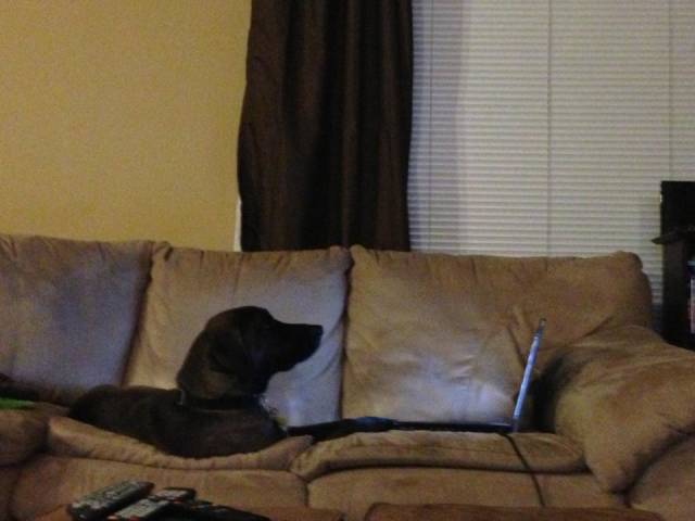 morning picdump 53 pics 19.html - 53 HD Photos | Premium Gallery 2018