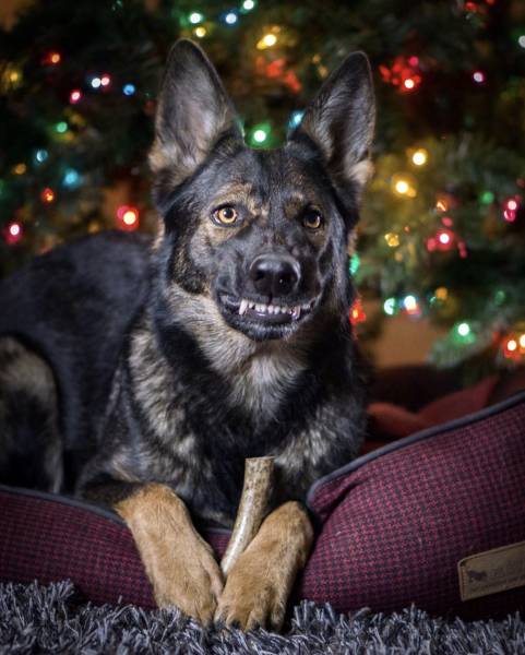 morning picdump 53 pics 19.html - 53 HD Photos | Premium Gallery 2018