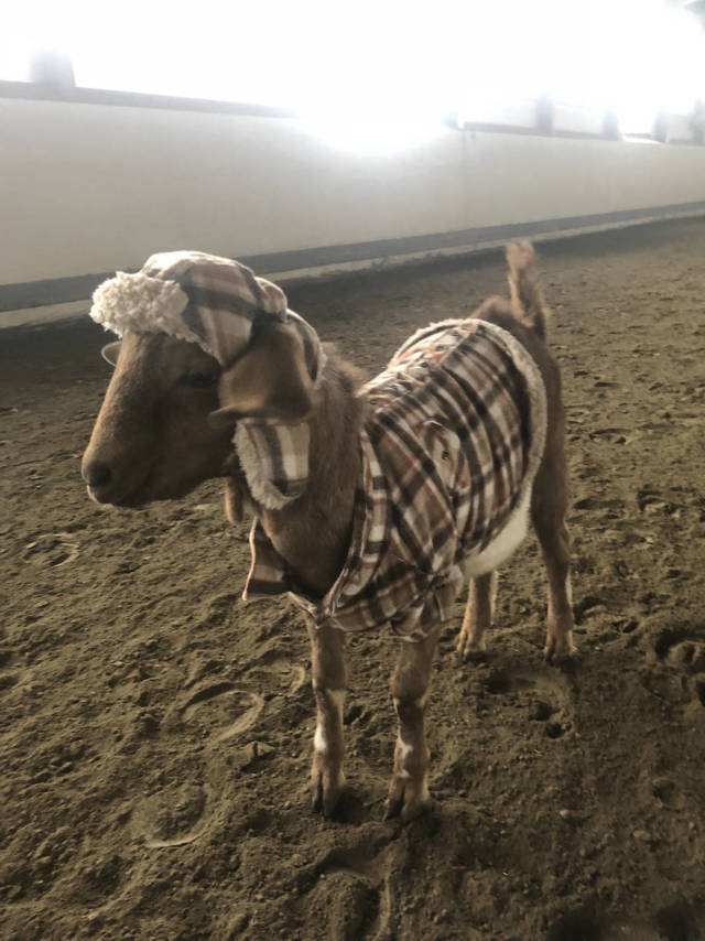 morning picdump 53 pics 19.html - 53 HD Photos | Premium Gallery 2018