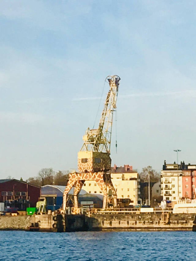 morning picdump 53 pics 19.html - 53 HD Photos | Premium Gallery 2018