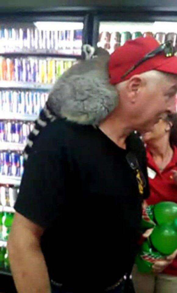 morning picdump 53 pics 19.html - 53 HD Photos | Premium Gallery 2018