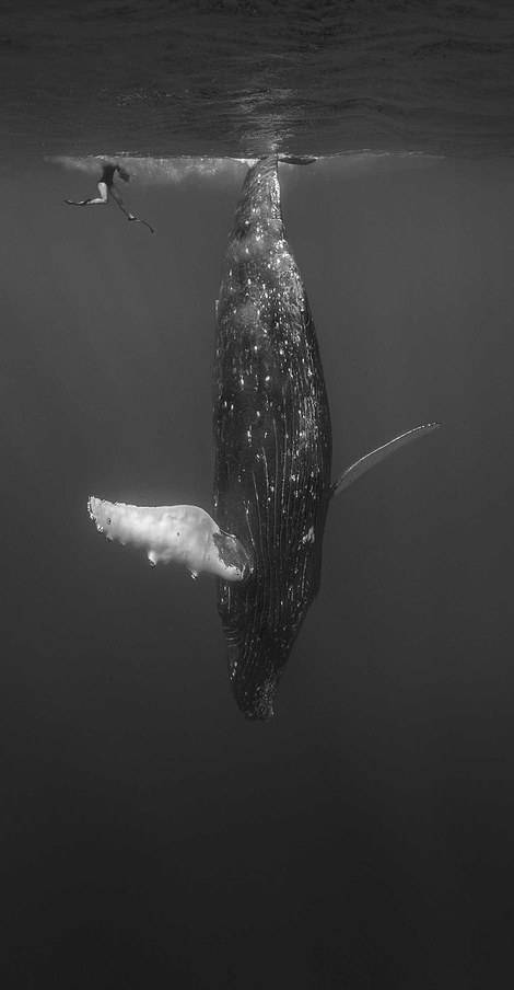 morning picdump 53 pics 19.html - 53 HD Photos | Premium Gallery 2018