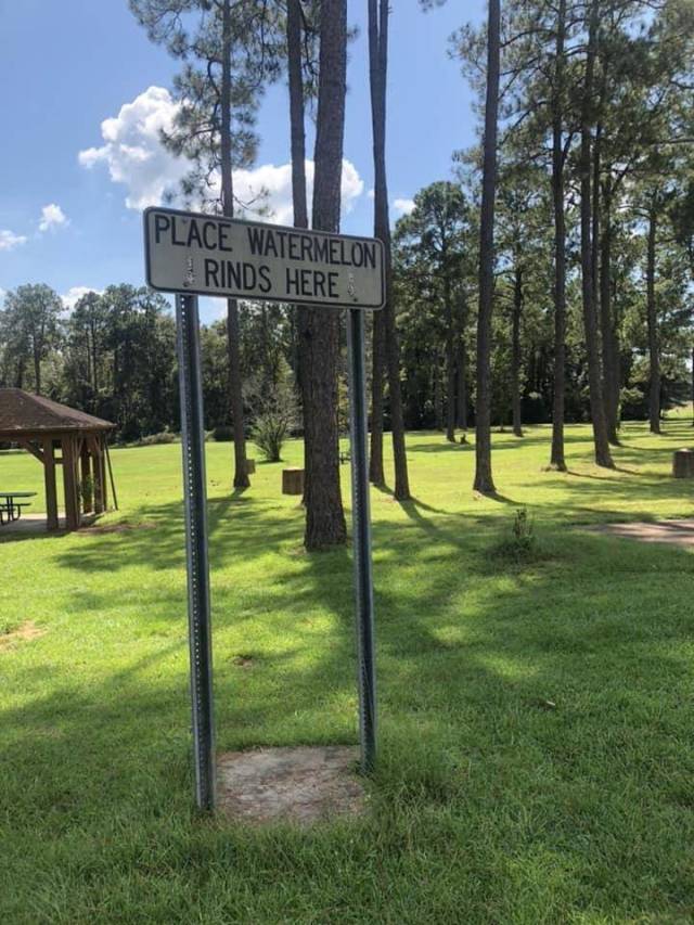 morning picdump 53 pics 19.html - 53 HD Photos | Premium Gallery 2018