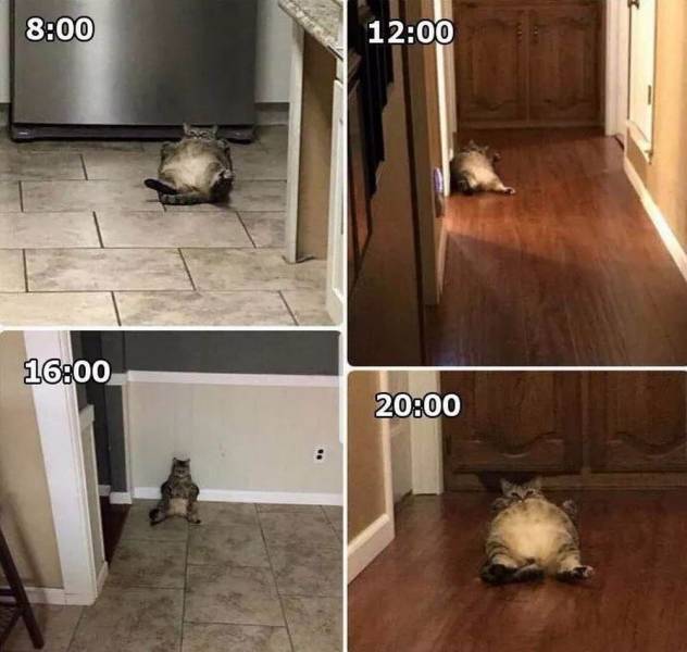 morning picdump 54 pics 27.html - 54 HD Photos | Premium Gallery 2018