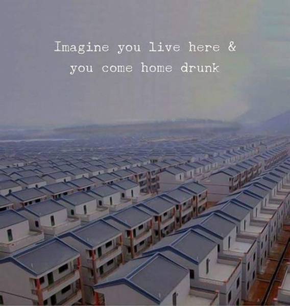 top 250 morning pics of the year 2018.html - 1 HD Photos | Premium Gallery 2018