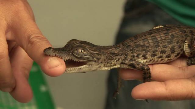 morning picdump 54 pics 27.html - 54 HD Photos | Premium Gallery 2018