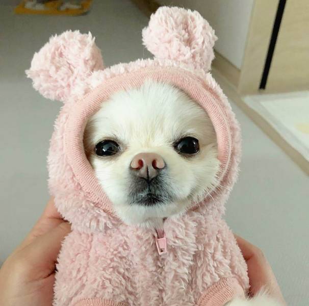 morning picdump 54 pics 27.html - 54 HD Photos | Premium Gallery 2018