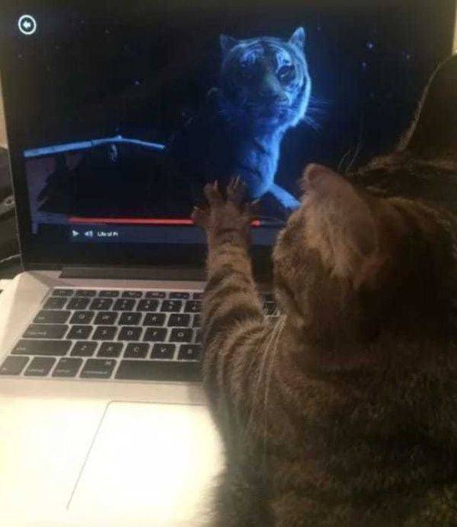 morning picdump 54 pics 27.html - 54 HD Photos | Premium Gallery 2018