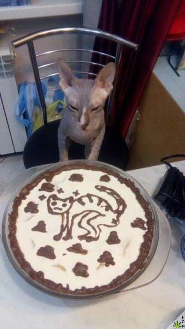 morning picdump 54 pics 27.html - 54 HD Photos | Premium Gallery 2018