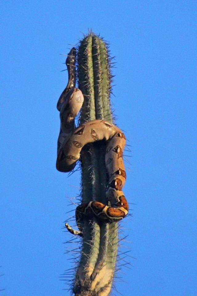 morning picdump 54 pics 27.html - 54 HD Photos | Premium Gallery 2018