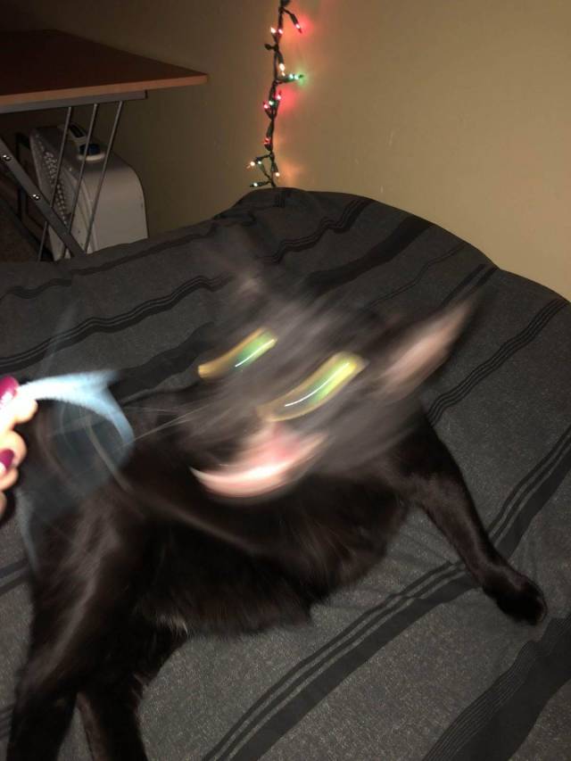 morning picdump 54 pics 27.html - 54 HD Photos | Premium Gallery 2018