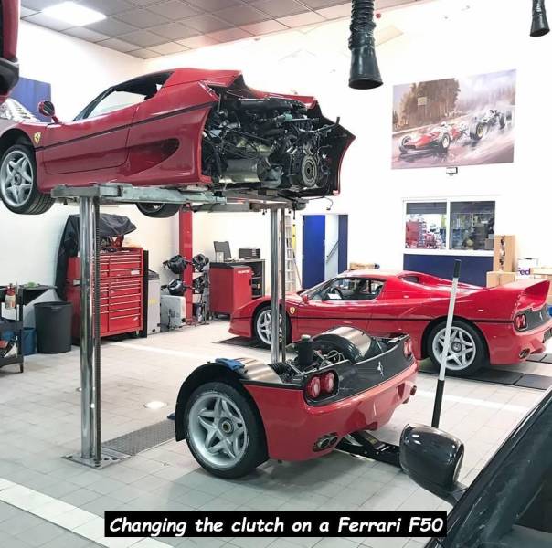 daily picdump 92 pics 28.html - 92 HD Photos | Premium Gallery 2018