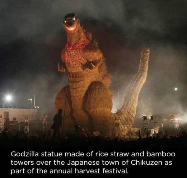 daily picdump 92 pics 28.html - 92 HD Photos | Premium Gallery 2018