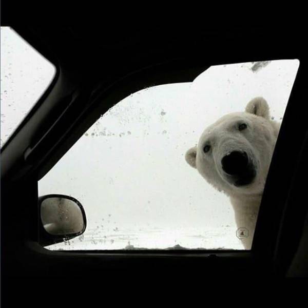 daily picdump 92 pics 28.html - 92 HD Photos | Premium Gallery 2018