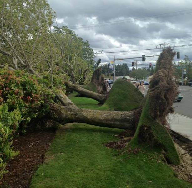 daily picdump 92 pics 28.html - 92 HD Photos | Premium Gallery 2018