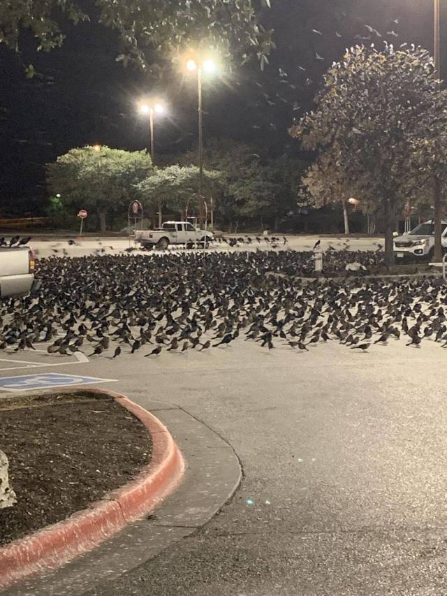 daily picdump 92 pics 28.html - 92 HD Photos | Premium Gallery 2018