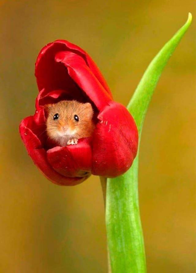 daily picdump 92 pics 28.html - 92 HD Photos | Premium Gallery 2018