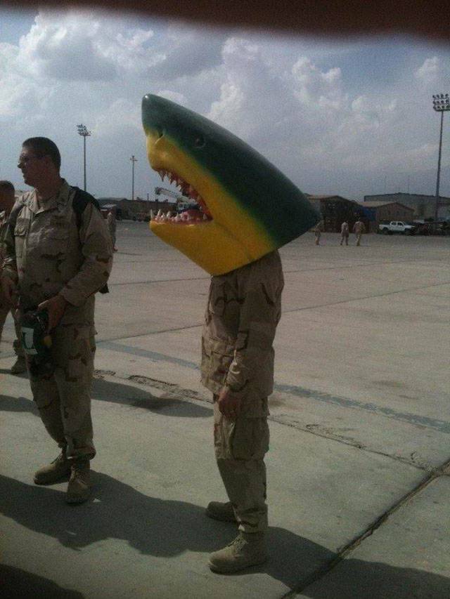 daily picdump 92 pics 28.html - 92 HD Photos | Premium Gallery 2018