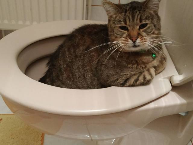 Daily Picdump