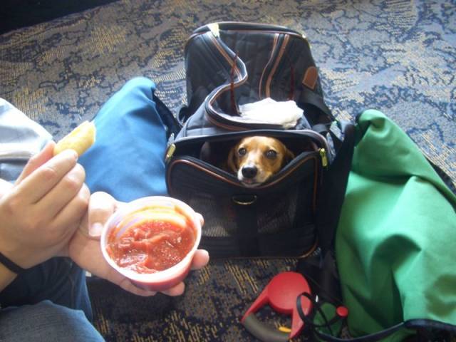 daily picdump 96 pics 35.html - 96 HD Photos | Premium Gallery 2018