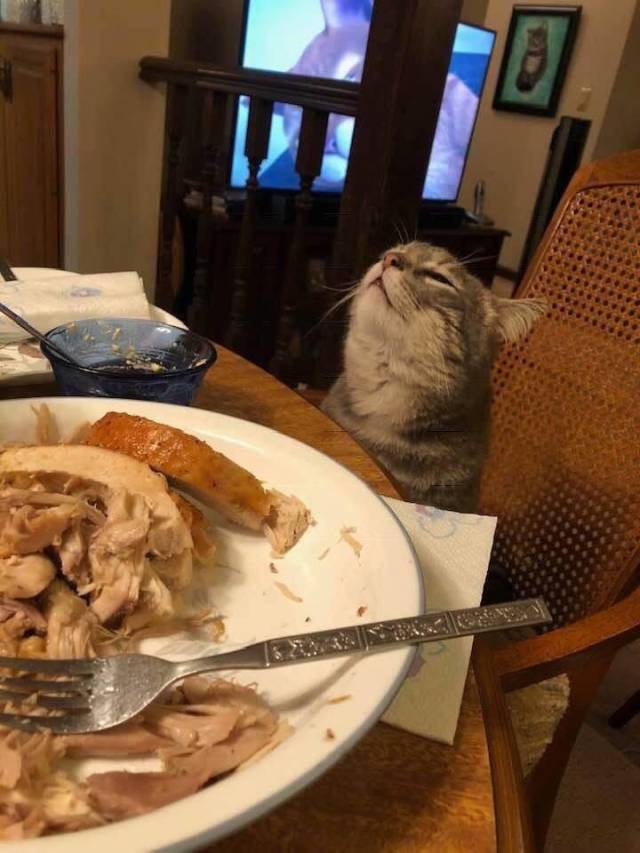 daily picdump 96 pics 35.html - 96 HD Photos | Premium Gallery 2018