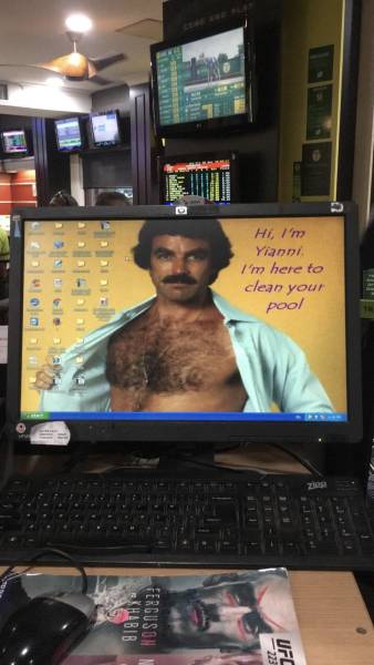 Morning Picdump