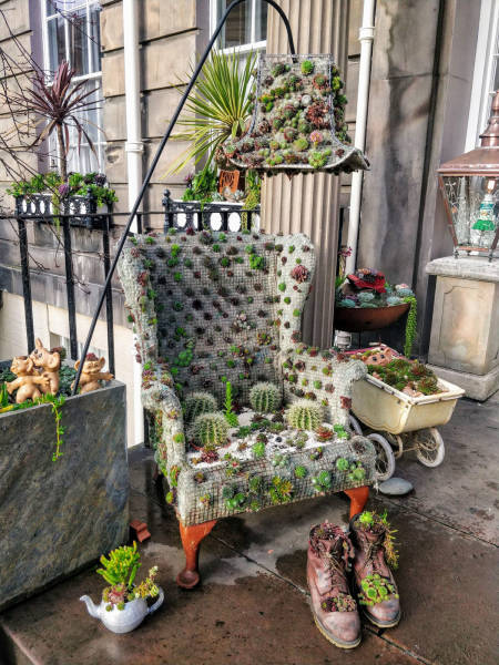 Morning Picdump