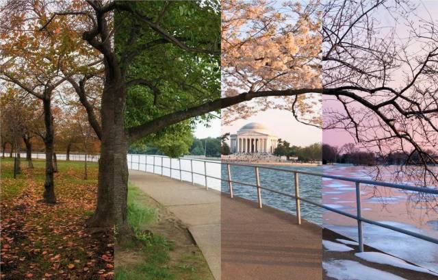 morning picdump 53 pics 7.html - 53 HD Photos | Premium Gallery 2018