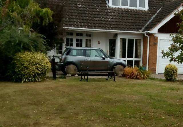 morning picdump 53 pics 7.html - 53 HD Photos | Premium Gallery 2018