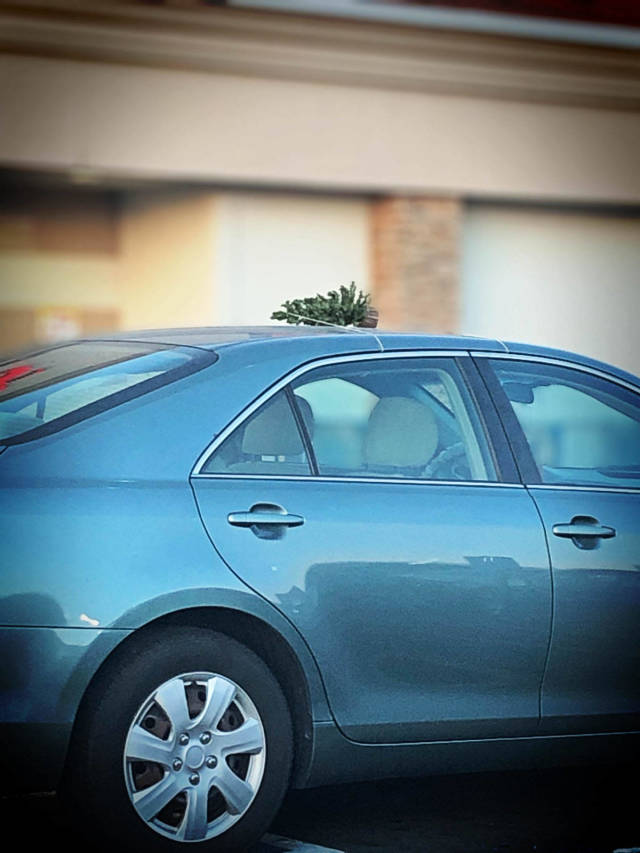 morning picdump 53 pics 7.html - 53 HD Photos | Premium Gallery 2018