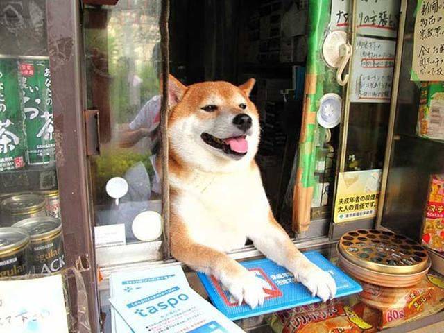 daily picdump 93 pics 30.html - 93 HD Photos | Premium Gallery 2018